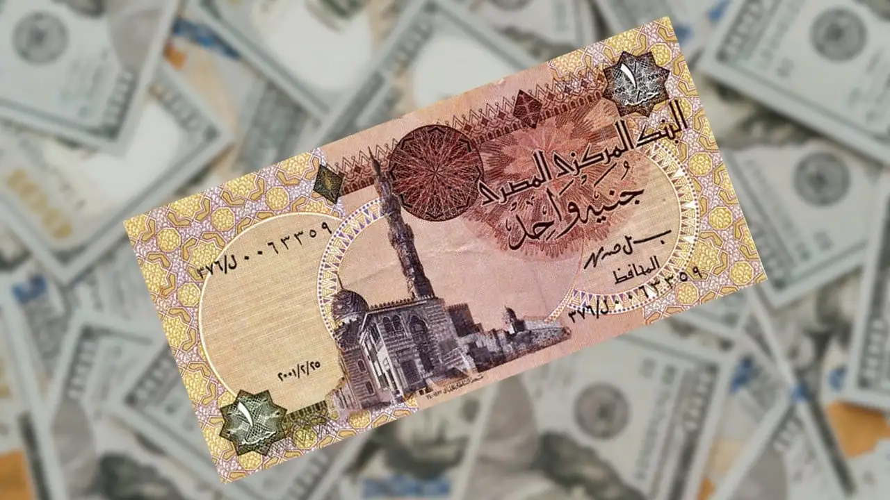 العملة المصرية الرسمية